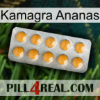 Kamagra Pineapple levitra1